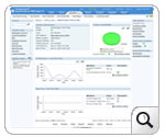 Website Monitoring