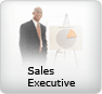 Sales Executive